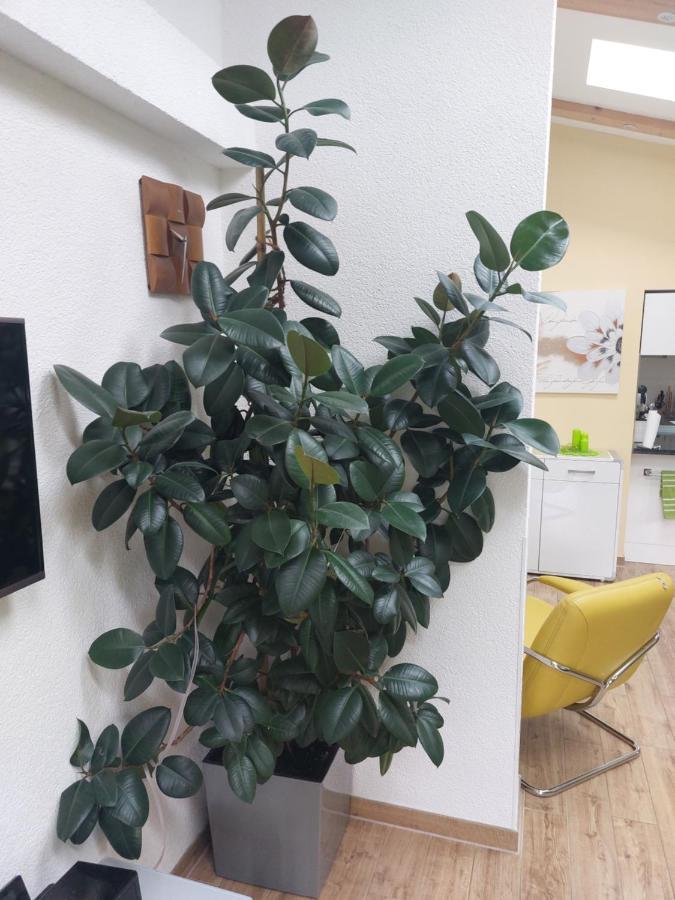 Ferienhaus In ברנאו ביי ברלין מראה חיצוני תמונה